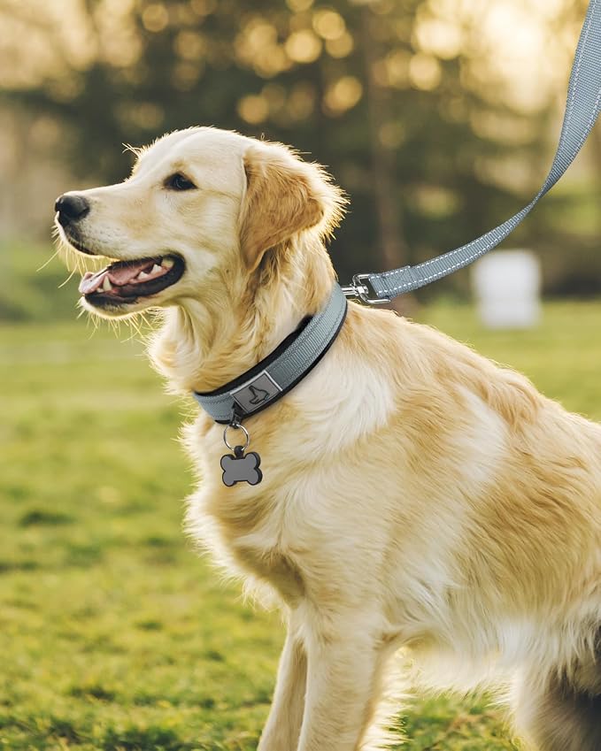 Joytale Reflective Dog Collar for Large Dogs with Wide Padding, Gray | Soft Cushion Reduce Neck Strain, Night Safety Walking, Metal Buckle and Adjustable Eyelets, Separated Dog ID Tag Ring - Image 6