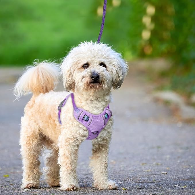 BARKBAY No Pull Dog Harness Large Reflective Dog Harness with Front Clip and Easy Control Handle for Walking Training Running with ID tag Pocket(Lavender Sky,S) - Image 9