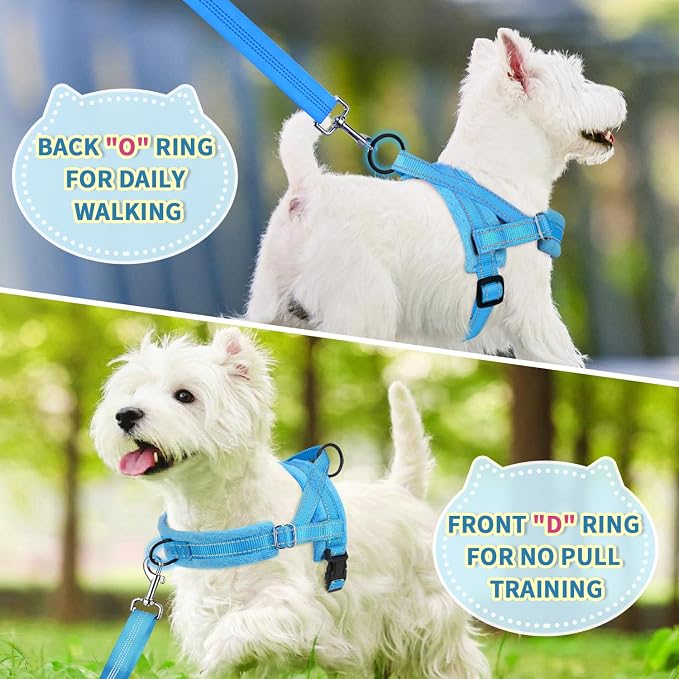 Lukovee Small Dog Harness and Leash Set, No Pull Soft Padded Vest | Both Neck & Chest Adjustable, Reflective, Puppy Harness with 4ft Lightweight Anti-Twist Dog Leash for Small Dogs (LBL, XS) - Image 7