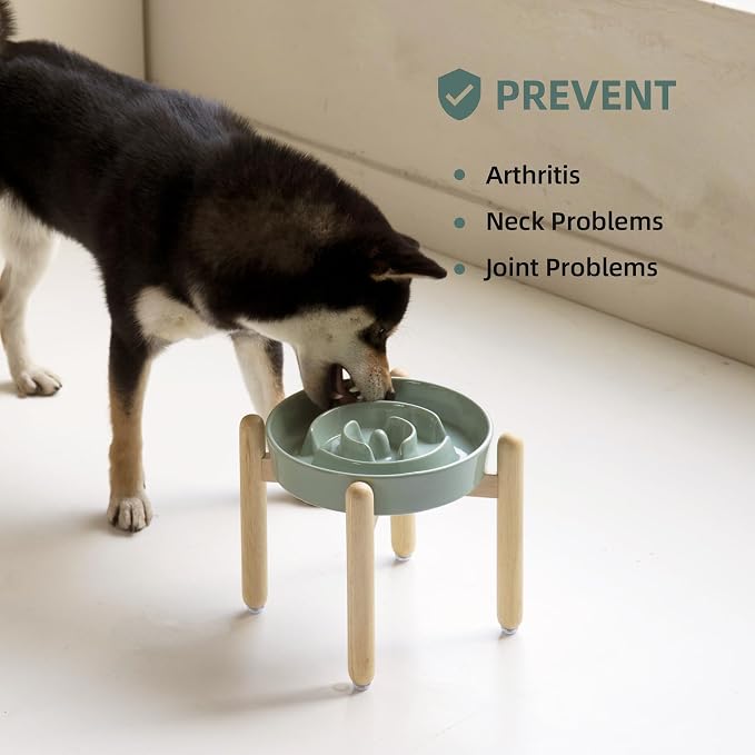 Havniva Elevated Slow Feeder Dog Bowls, Ceramic Dog Bowl Slow Feeder | 1.6 Cups Raised Slow Feeding Bowl for Medium Breed, Puzzle Dog Food Bowl with Wooden Stand, Non-Slip, Anti-Choking - Image 5