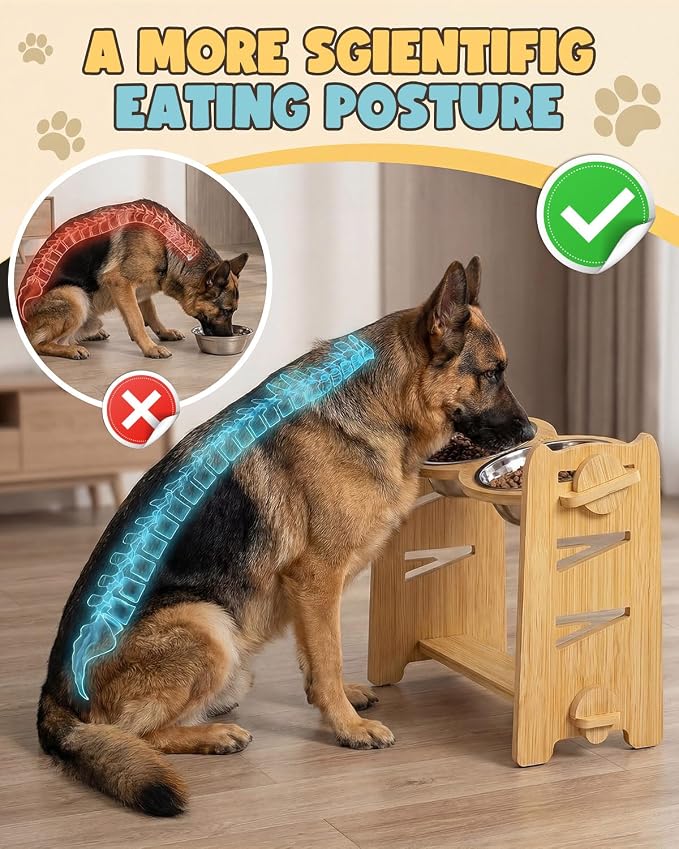 Jovrun Elevated Dog Bowls, Adjustable Raised Dog Bowl Stand for Medium Large Size Dogs, 15°Tilted Elevated Dog Bowls, Durable Bamboo Dogs Feeder with 2 Stainless Steel Bowls and Non-Slip Feet - Image 3