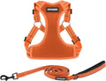Best Pet Supplies Voyager Adjustable Step-in Flex Breathable Mesh Dog Harness for Small Medium Large Dogs Leash Set (Orange), S by BestPetSuppliesLLC