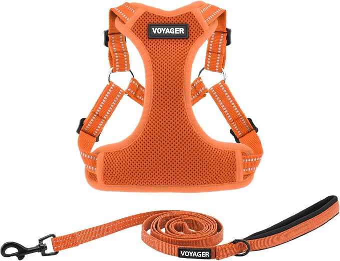 Best Pet Supplies Voyager Adjustable Step-in Flex Breathable Mesh Dog Harness for Small Medium Large Dogs Leash Set (Orange), S by BestPetSuppliesLLC