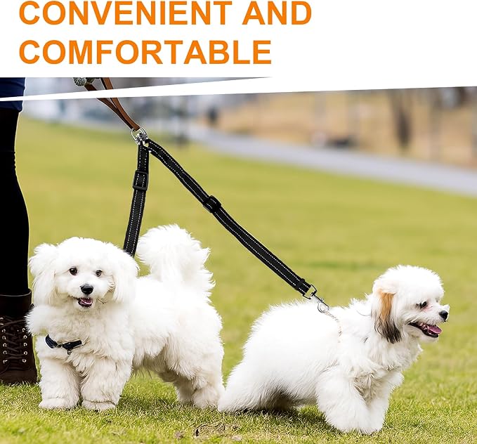 MingXpet Double Dog Leash for Two Dogs, No Pull Dog Leash, 360° Swivel No Tangle for Small Dogs Walking & Training, Shock Absorbing Reflective Bungee, Black - Image 7