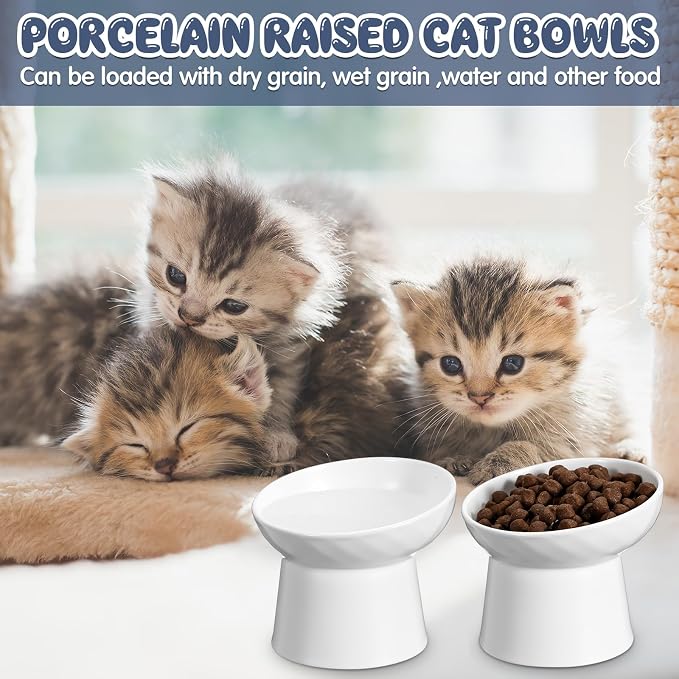 4 Pcs Ceramic Raised Cat Bowls, Elevated Tilted Cat Bowl for Food Water, Stress Free, Backflow Prevention, Dishwasher Microwave Safe, Feeder Dish for Indoor Kitten, Small Dogs(White) - Image 6