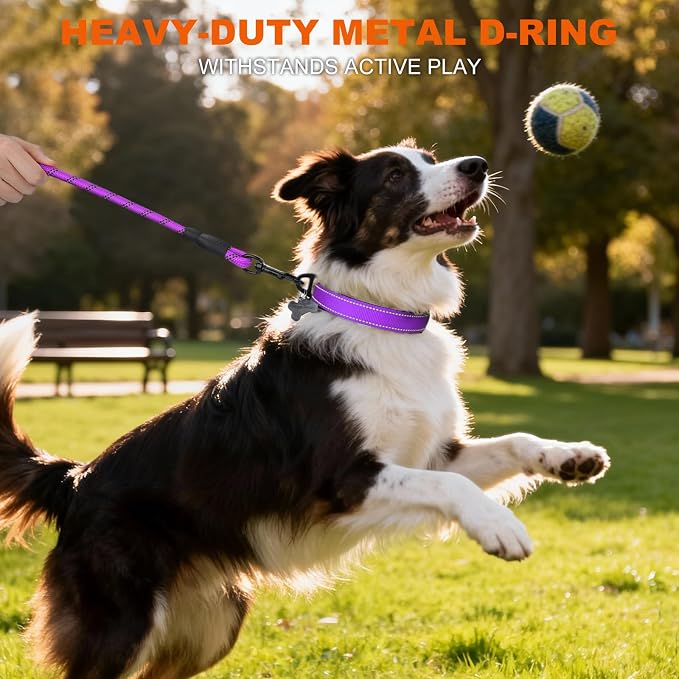 Taglory Reflective Dog Collar for Medium Dogs, Soft and Safe for Daily Walk | Soft Neck Cushioning, Adjustable 14-20 in, Sturdy Webbing Withstands Strong Pullers, Zinc Alloy D-Ring for Leash and ID Tags - Image 6