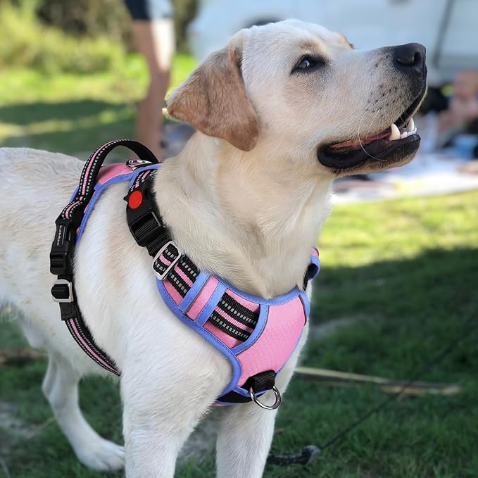 rabbitgoo Dog Harness for Large, No Pull 3 Buckles Easy On & Off | Soft Padded, Walking with Control Handle, Adjustable and Reflective, Light Pink & Blue, Large - Image 8