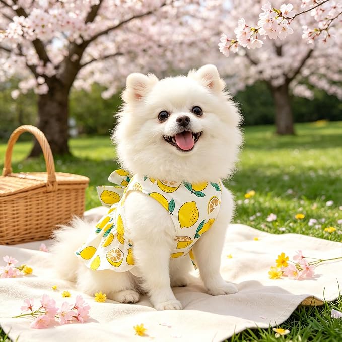 2Pack Small Dog Harness Dress for Girl Puppy Cat Dress with Strawberry&Lemon Pattern Adjustable Breathable D-Ring Outfits for Small Puppy Cat Dresses for Cats Only or Dog Girl Clothes - Image 3