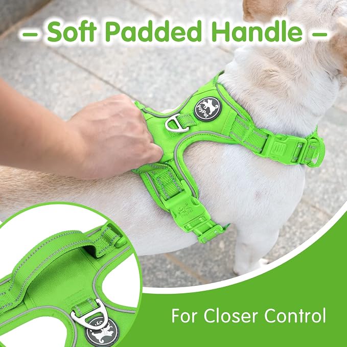 PoyPet Dog Harness and Leash Set, No Pull Vest with Front Clip and Handle | Escape Proof, Reflective, 3 Buckles, 2 D-rings, Adjustable, Soft Padded, 5 Feet Leash, for Walking Training, Green, M - Image 3