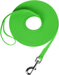 Waterproof Long Leash Durable Dog Recall Training Lead Great for Outdoor Hiking, Training, Yard, Beach and Swimming (Green, 50ft) by Qiaosite