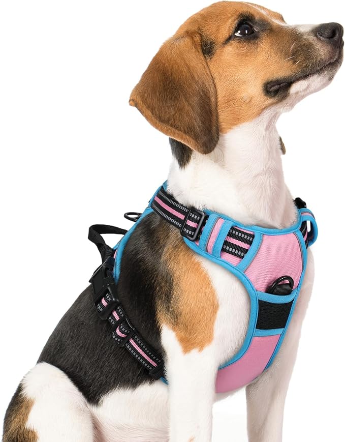 rabbitgoo Dog Harness, No Pull Medium Sized with 2 Leash Clips, Pet Vest | No Choke with Handle, Adjustable Soft Padded, Reflective, Easy Control for Walking, Pink & Blue, Medium by rabbitgoo