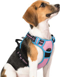 rabbitgoo Dog Harness, No Pull Medium Sized with 2 Leash Clips, Pet Vest | No Choke with Handle, Adjustable Soft Padded, Reflective, Easy Control for Walking, Pink & Blue, Medium by rabbitgoo
