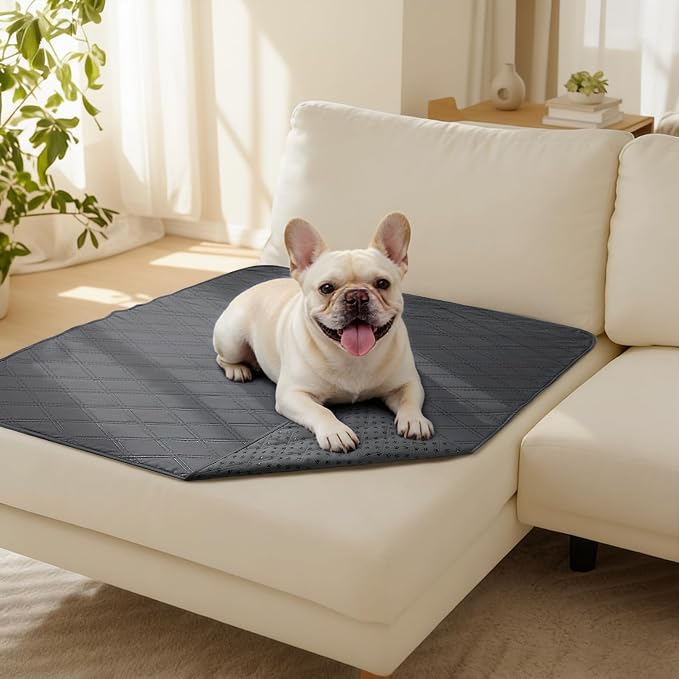 Luciphia Waterproof Couch Cover for Dogs, Non-Slip Pet Sofa Protector | Non-slip waterproof couch cover scratch-resistant machine washable protects sofa bed, Grey, 40" x 50" by luciphia