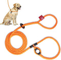 Harness Lead No Pull Dog Harness and Leash Set, Anti Pull Dog Harness for All Breeds and Sizes, One-Piece Cushioned Rope Design Safely Prevents Escaping and Pulling (Medium/Large, Orange/Reflective) by HarnessLead