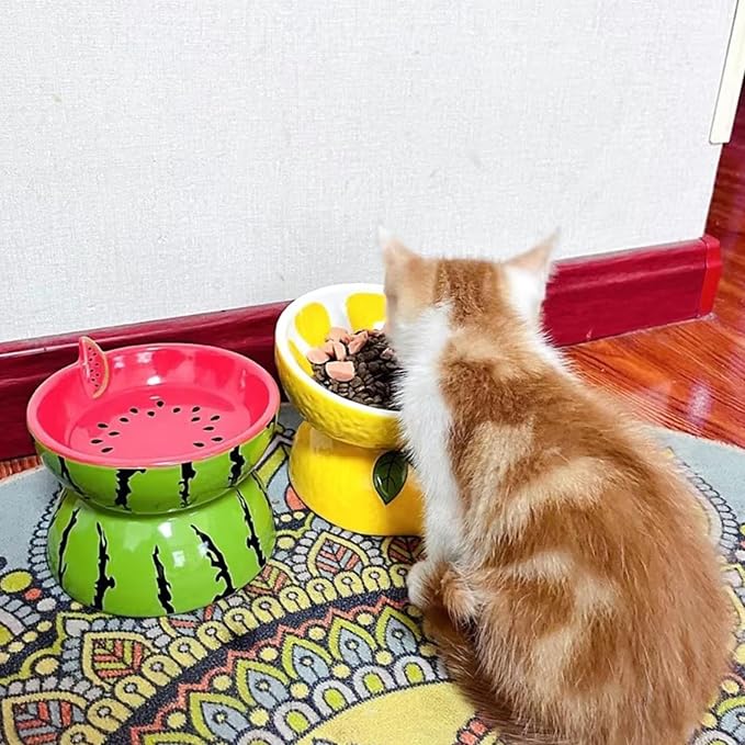 2PCS Ceramic Elevated Cat Bowls Raised Cat Food and Water Bowl Dishes Set | 5.2in Tilted Anti Vomiting Slow Feeder Cat Dishes, Whisker Friendly for Indoor kitten,Cute Watermelon & Lemon Design - Image 2