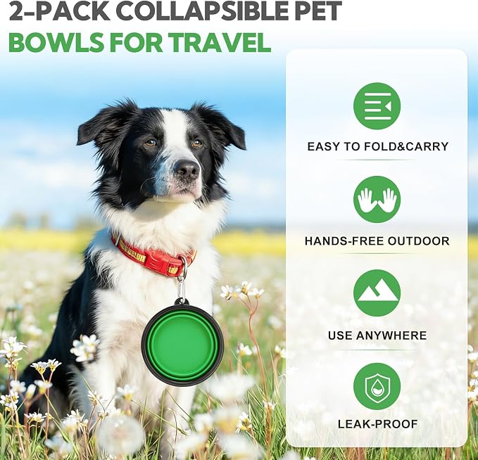 Collapsible Dog Bowl Large 34oz, Travel Dog Water Bowl Portable | 2 Pack, 2 Carabiner Clips, Silicone Travel Dog Bowl Foldable, Feeding Watering Dish Bowl, for Parking, Walking, Camping - Image 3