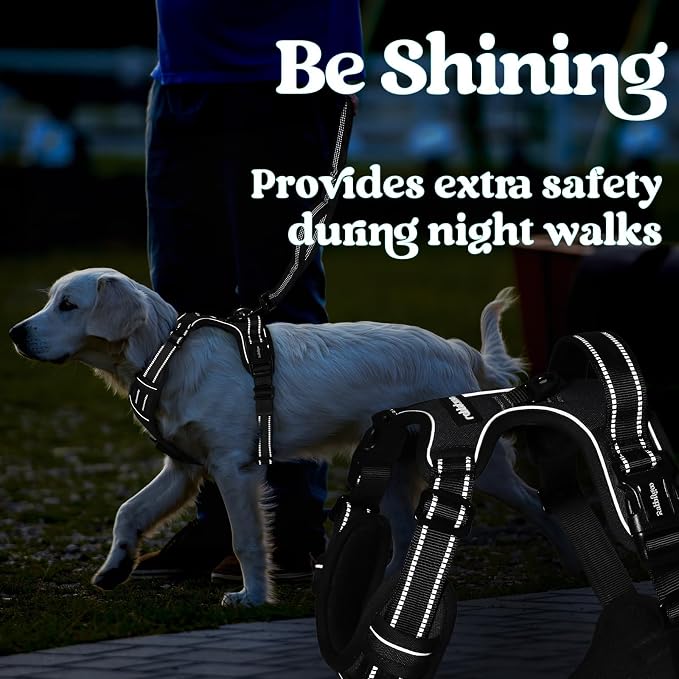 rabbitgoo Dog Harness Medium Sized, Updated Easy On & Off with 3 Buckles | No Pull No Choke, Walking with 2 Clips and Handle, Adjustable Soft Reflective, Sky Blue, Medium - Image 9