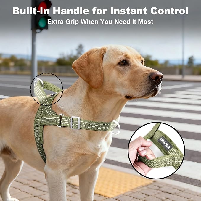 No Pull Dog Harness with Handle, Adjustable Soft Mesh Padded Vest | Reflective Walking Harness with Front Clip for Small Medium Large Dogs, Quick Fit No Escape for Training, Ranger Green, XS - Image 3