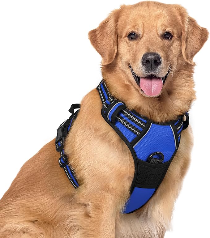 rabbitgoo Dog Harness, No Pull for Large Dogs with 2 Leash Clips, Pet Vest | No Choke with Handle, Adjustable Soft Padded, Reflective, Easy Control for Walking, Dazzling Blue, X-Large by rabbitgoo