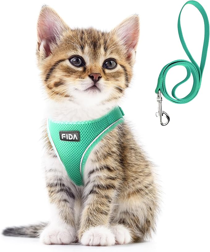Fida Cat Harness and Leash Set for Walking Kitten and Puppy, Escape Proof Kitten Harness with Breathable Lightweight Soft Mesh, Adjustable Reflective Step-in Design. (S, Green) by Fida