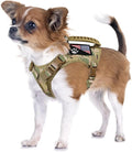 Tactical Dog Harness Tactical Puppy Vest with Rubber Handle K9 Military Adjustable Pet Vest Harness for Outdoor Training XS Dog Harness (Camouflage Harness) by FXGOING