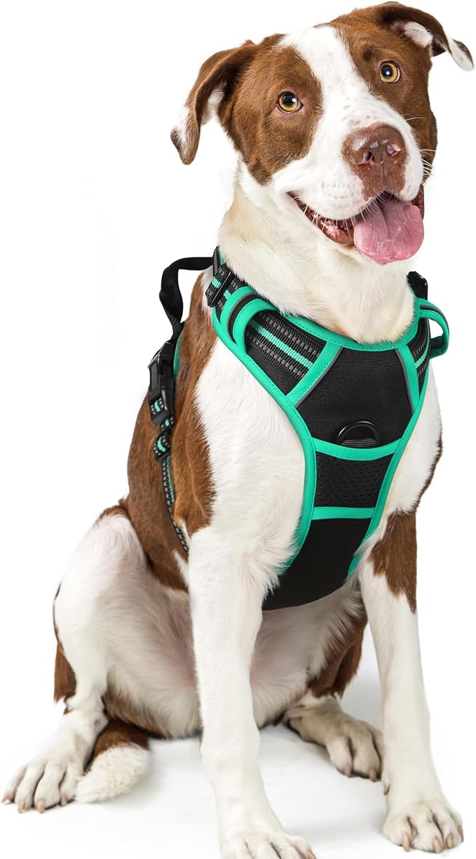 rabbitgoo Dog Harness, No Pull for Large Dogs with 2 Leash Clips, Pet Vest | No Choke with Handle, Adjustable Soft Padded, Reflective, Easy Control for Walking, Black & Turquoise, Large by rabbitgoo