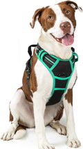 rabbitgoo Dog Harness, No Pull for Large Dogs with 2 Leash Clips, Pet Vest | No Choke with Handle, Adjustable Soft Padded, Reflective, Easy Control for Walking, Black & Turquoise, Large by rabbitgoo