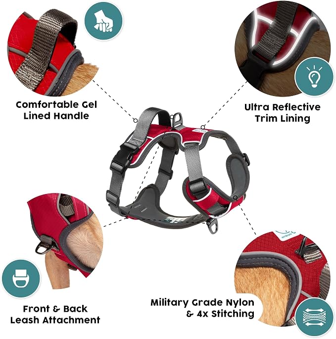 Embark No Pull Dog Harness, Reflective Adjustable Training Vest, No Choke | Adjustable straps fit all dog breeds with sturdy hooks; 360° reflective trim, soft padded Harness Design for All Dogs - Image 2