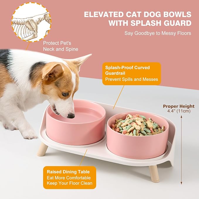 Elevated Ceramic Dog Bowl Set - Double Dog Feeding Bowls with Stand Splash Proof - Raised Dishes for Food and Water - Ideal for Small to Medium Dogs - 2 x 720 ml - 11.3 oz - Pink - Image 3