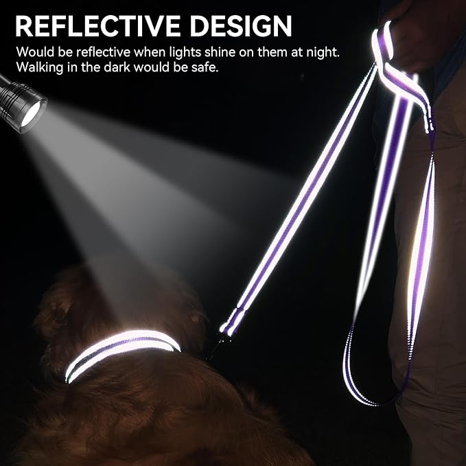 Joytale Reflective Dog Leash for Medium & Large Dogs, 4 FT x 1", Purple | Heavy Duty Nylon Webbing, Padded Handle for Comfort, Visible at Night, for Walking & Training - Image 4