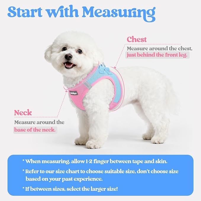 rabbitgoo Dog Harness Small Sized and Leash Set, Step-in Puppy Pet Vest | Light, Soft, Breathable Air Mesh, Easy on and Remove with Hook & Loop, Secure Reflective for Walking, Blue & Light Pink S - Image 2