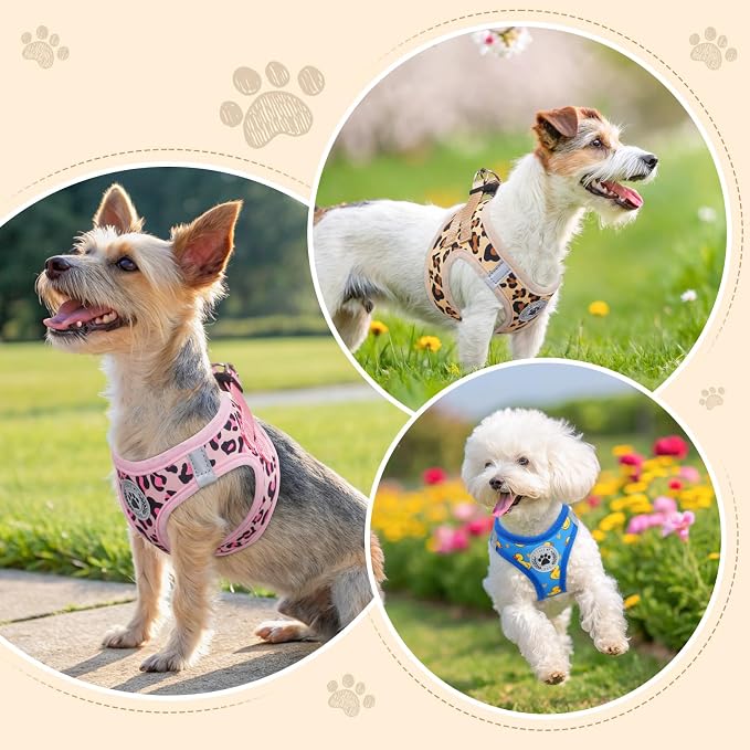 BEAUTYZOO Small Dog Harness and Leash Set, No Pull Puppy Pet Vest- Duck, S | Step-in Easy On/Off, All Season Breathable Mesh,Escape-Proof Hook & Loop,Lightweight Reflective,No Choke,Easy Walking Control - Image 7