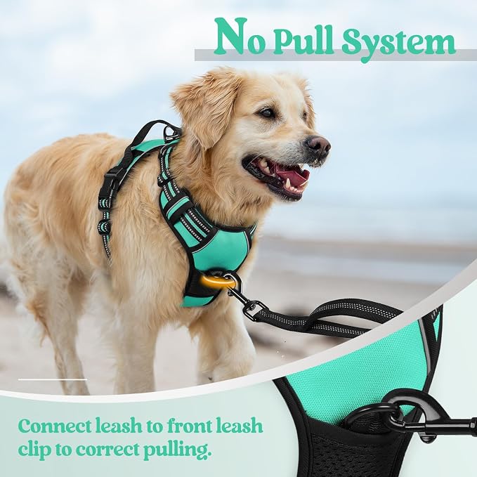 rabbitgoo Dog Harness, No Pull for Large Dogs with 2 Leash Clips, Pet Vest | No Choke with Handle, Adjustable Soft Padded, Reflective, Easy Control for Walking, Turquoise, X-Large - Image 5