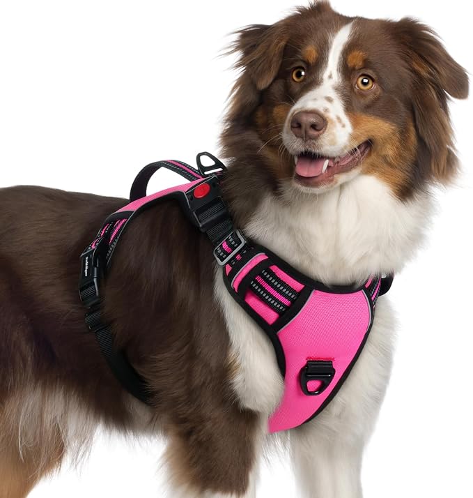 rabbitgoo Large Dog Harness, Easy Wear with 3 Buckles and Lift Handle | No Pull with Front Clip for Walking, Adjustable Soft Padded, Reflective, Easy Control, Pink, X-Large by rabbitgoo