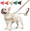 BEAUTYZOO Dog Harness Medium Sized and Leash Set, No Pull Step in Pet Vest | Breathable Mesh with Handle, Reflective, Adjustable No Choke Escape Proof, Lightweight, Easy Control for Walking, Beige M by BEAUTYZOO