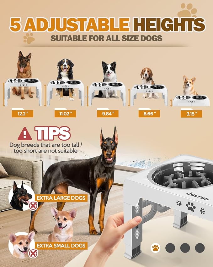 Jovrun Elevated Dog Bowls for Medium Large Size Dogs, Non-Slip Dog Feeder with 1*Stainless Steel Dishes & 1*Slow Feeder Bowl, 5 Heights Adjustable Raised Bowls to 3.15″-8.66″-9.84″-11.02″-12.2″ - Image 2