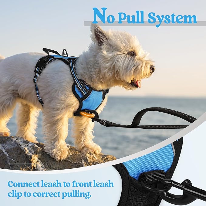 rabbitgoo Dog Harness, No Pull for Small Dogs with 2 Leash Clips, Pet Vest | No Choke with Handle, Adjustable Soft Padded, Reflective, Easy Control for Walking, Blue, X-Small - Image 5