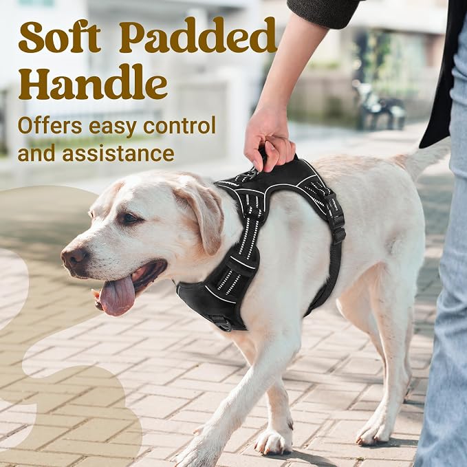 rabbitgoo Large Dog Harness, Easy Wear with 3 Buckles and Lift Handle | No Pull with Front Clip for Walking, Adjustable Soft Padded, Reflective, Easy Control, Black, Medium - Image 2