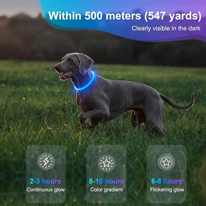 Light Up Dog Collar - Waterproof LED Dog Collar Rechargeble, TPU Cuttable Glow in the Dark Safety Dog Lights for Night Walking(Blue) - Image 8