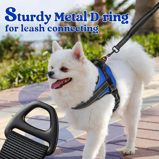 rabbitgoo No Pull No Choke Pet Vest, Adjustable Pet Harness with Molle | Small Sized Dog Harness, Reflective, Easy Wearing with One Buckle for Walking, Training, Blue, S - Image 6