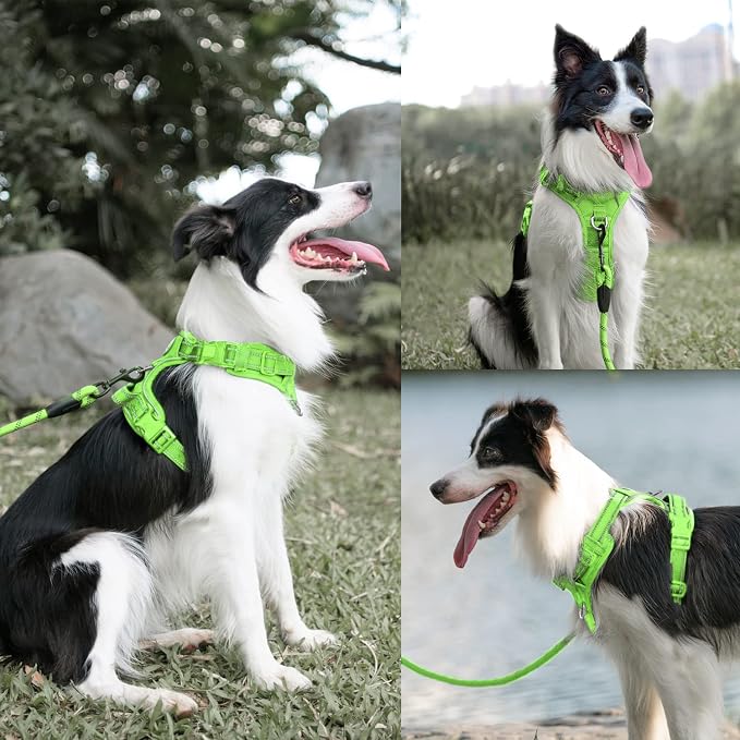 PoyPet Dog Harness and Leash Set, No Pull Vest with Front Clip and Handle | Escape Proof, Reflective, 3 Buckles, 2 D-rings, Adjustable, Soft Padded, 5 Feet Leash, for Walking Training, Green, M - Image 4