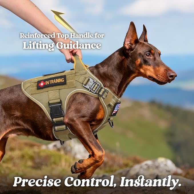 rabbitgoo Tactical Dog Harness X-Large, Heavy Duty Military No Pull Vest | Sturdy Metal Buckles, 5 Adjustments, Molle System, Powerful Pullers for Training, Hunting, Outdoor, Brown Reflex, X-Large - Image 3