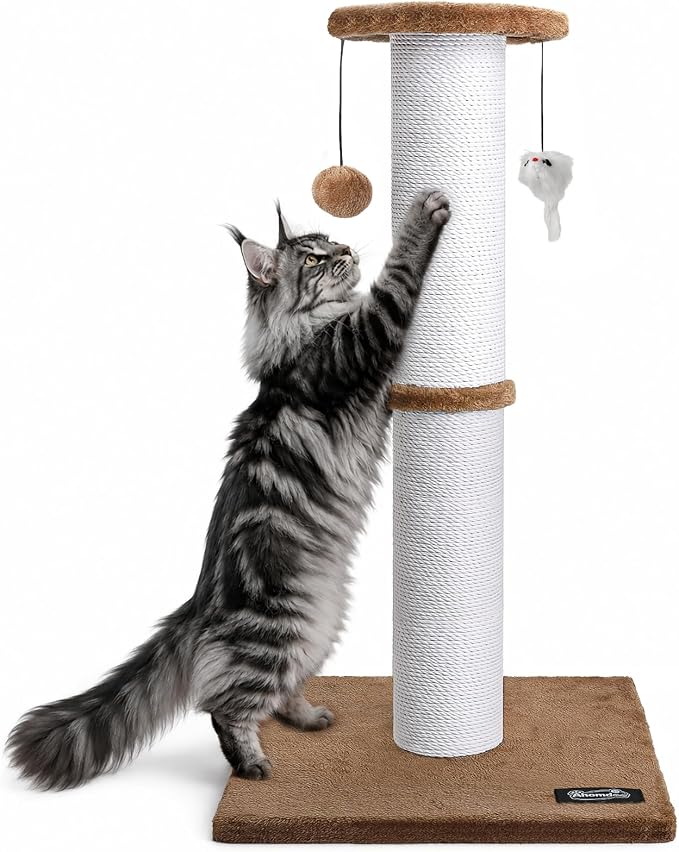 34-Inch Tall Cat Scratching Post for Large Cats, Sturdy Base, Tan | Heavy-Duty Cat Scratcher, Extra-Tall Thick Post, Soft Natural Cotton Rope, Hanging Interactive Cat Toys, Indoor Cat Furniture by Ahomdoo