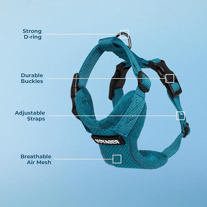 Voyager Step-in Lock Dog Harness - Turquoise, Medium | 17 - 21" in Chest, Adjustable, Breathable Air Mesh, Lightweight for Daily Walks, Strong Clips, Heavy Duty D-Ring - Image 4