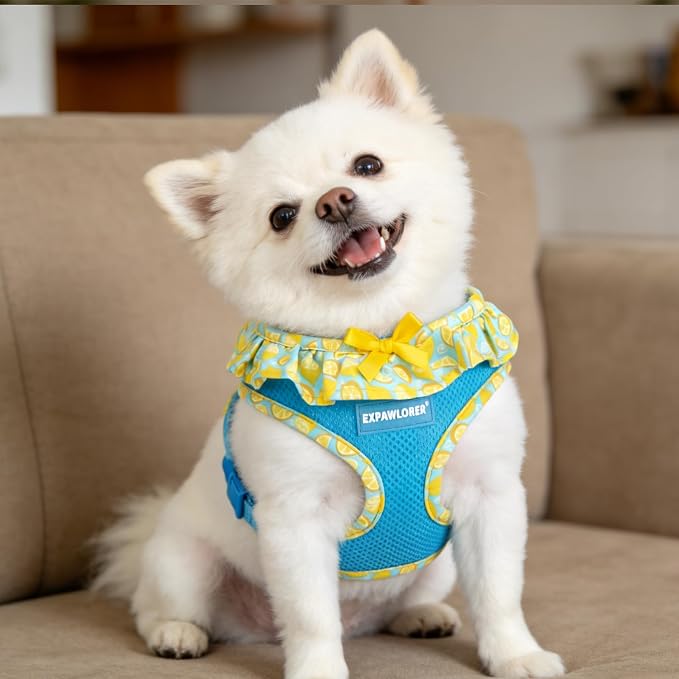 EXPAWLORER Step-in Dog Harness Small Sized and Leash Set | Cute Small Dog Harness No Pull Girl, Breathable Soft Mesh Padded, Adjustable Light Puppy Vest for Dogs Cats, Lemon M - Image 8