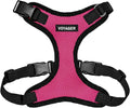 Voyager Step-in Lock Dog Harness - Fuchsia/Black Trim, Large | 20 - 25" in Chest, Adjustable, Breathable Air Mesh, Lightweight for Daily Walks, Strong Clips, Heavy Duty D-Ring by BestPetSuppliesLLC