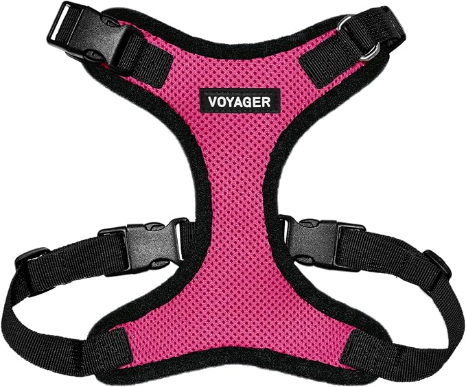 Voyager Step-in Lock Dog Harness - Fuchsia/Black Trim, Large | 20 - 25" in Chest, Adjustable, Breathable Air Mesh, Lightweight for Daily Walks, Strong Clips, Heavy Duty D-Ring by BestPetSuppliesLLC