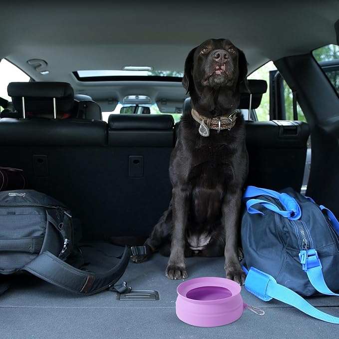 SLSON Spill Proof Dog Water Bowl for Cars,Collapsible No Splash Dog Travel Bowls Integrated Molding Portable Pet Bowl for Road Trip Truck,RV,SUV,Boat Accessories (Purple) - Image 6