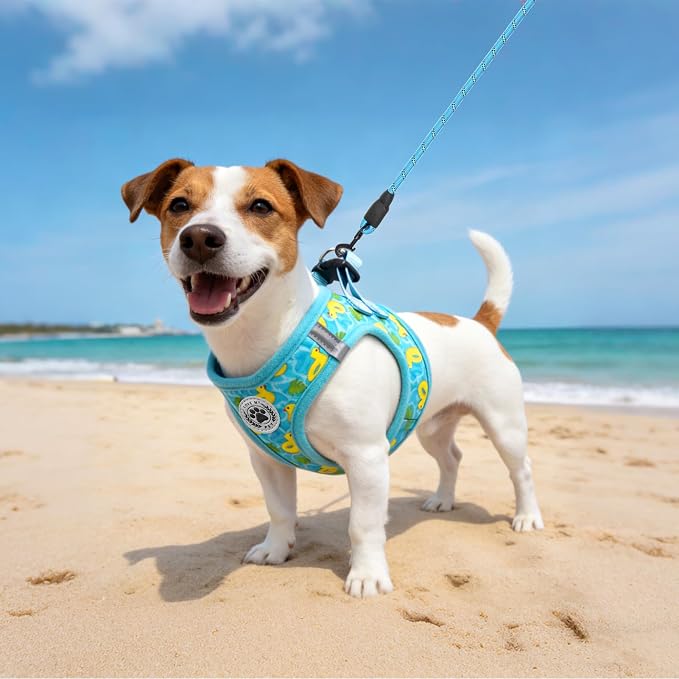 BEAUTYZOO Dog Harness Medium Sized and Leash Set,No Pull Pet Vest - Duck, M | Step-in Easy On/Off, All Season Breathable Mesh,Escape-Proof Hook & Loop,Lightweight Reflective,No Choke,Easy Walking Control - Image 6