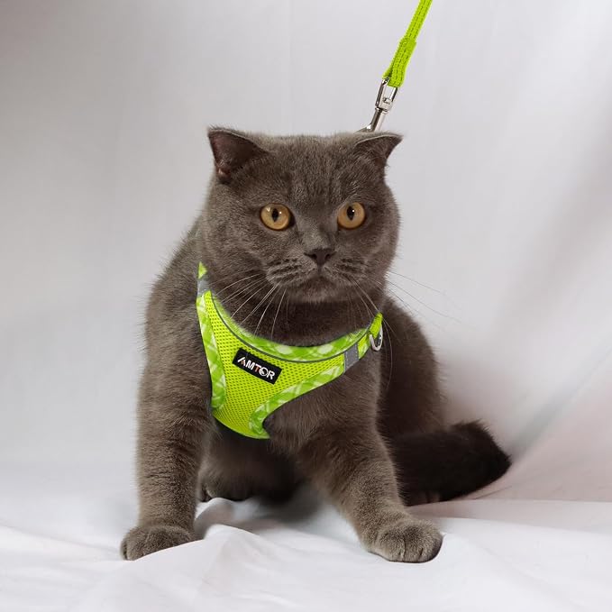 AMTOR Small Dog Harness with Leash Set, No Escape Easy Walk Puppy Harnesses for Training Walking, Step-in Reflective Soft Dogs Vest for XS S Medium Extra-Small Large Sized Dog(Green/White,L) - Image 5